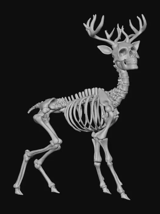 3D model for Griz - The one who didn't come, but simply stayed