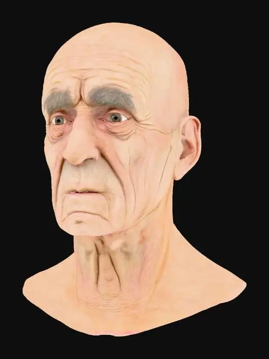 3D model for Wisdom in Lines