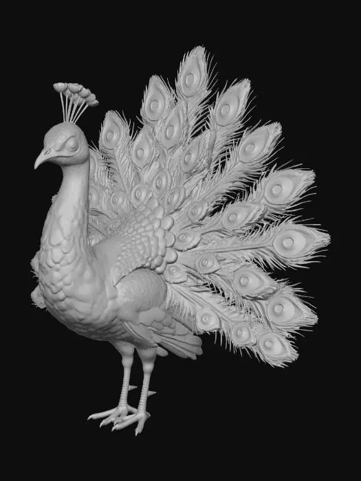 3D model for Royal Peacock