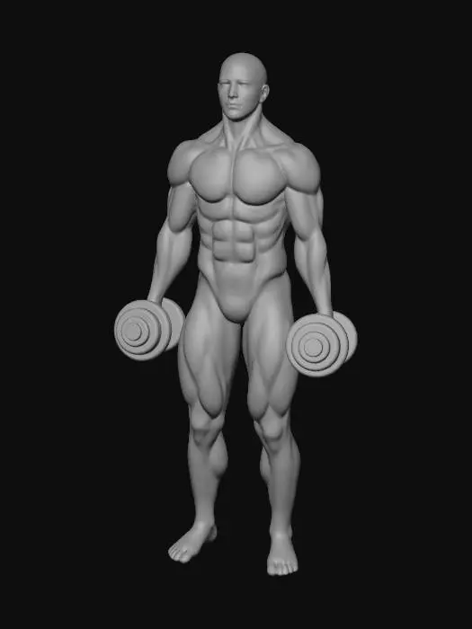 3D model for Dumbbell Arm Workout