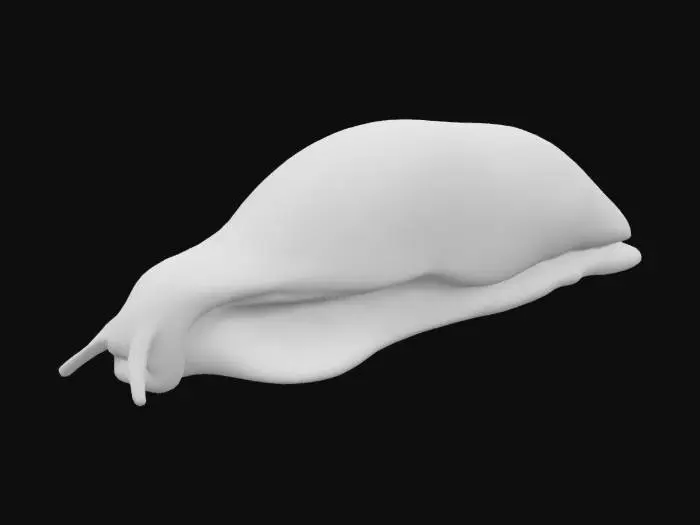 3D model for Slug