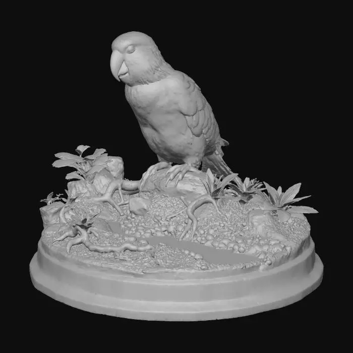 3D model for Sunny Oasis