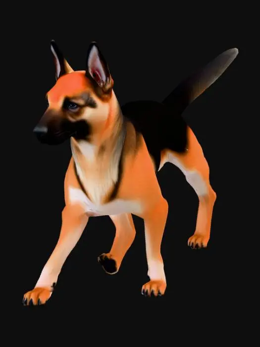 3D model for Scientific canine anatomy reference 3D model: adult female German Shepherd standing firmly on all four legs, natural alert pose, precise three-quarter rear view with tail held naturally high (45° angle) to fully expose perineal region and inguinal area. Accurate non-estrus female canine external urogenital anatomy with correct vulvar commissure, perineal body, anal glands and full ventral mammary chain (10 symmetrical teats). Anatomically perfect head: strong square muzzle, correct scissor bite, black lips, wet nose; strong straight forelegs and hindlegs with proper pasterns, compact cat-like paws, visible dewclaws and black pads. Classic black-and-tan coat, dense realistic fur. Game-ready clean quad topology 4M+ polys, photoreal 8K PBR, studio gray background, even soft lighting.