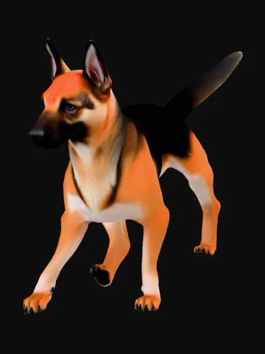 3D model for Scientific canine anatomy reference 3D model: adult female German Shepherd standing firmly on all four legs, natural alert pose, precise three-quarter rear view with tail held naturally high (45° angle) to fully expose perineal region and inguinal area. Accurate non-estrus female canine external urogenital anatomy with correct vulvar commissure, perineal body, anal glands and full ventral mammary chain (10 symmetrical teats). Anatomically perfect head: strong square muzzle, correct scissor bite, black lips, wet nose; strong straight forelegs and hindlegs with proper pasterns, compact cat-like paws, visible dewclaws and black pads. Classic black-and-tan coat, dense realistic fur. Game-ready clean quad topology 4M+ polys, photoreal 8K PBR, studio gray background, even soft lighting.