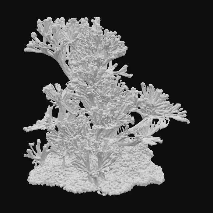 3D model for A cluster of alien coral features a complex interplay of organic and geometric forms. Translucent fronds gracefully unfurl, subtly glowing with pulsating, cyan bioluminescence. Interspersed are delicate, crystalline lattices and spiraling tendrils following precise, parametric curves, creating a synthetic elegance. Its texture shifts from soft and gelatinous to brittle and sharply faceted, in ethereal shades of deep violet, electric blue, and faint emerald.