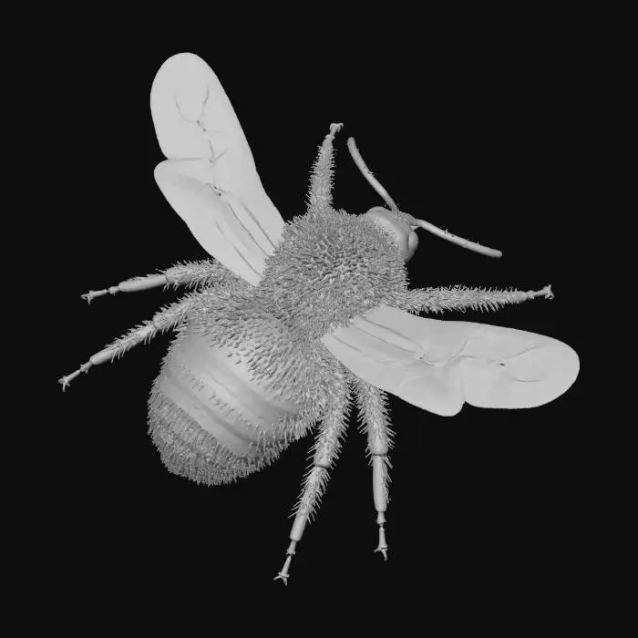 3D model for Bumblebee Illustration