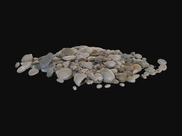 3D model for pebbles laying on ground 