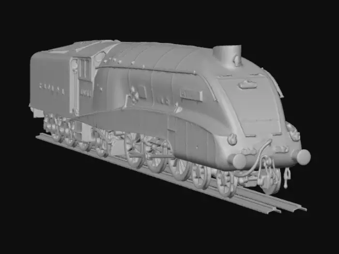 3D model for Blue Mallard