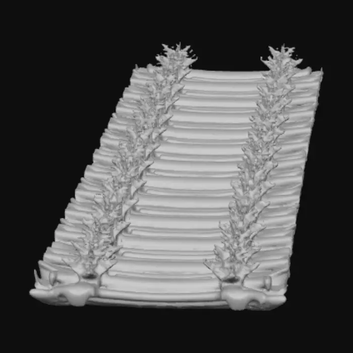 3D model for Mountains in Winter