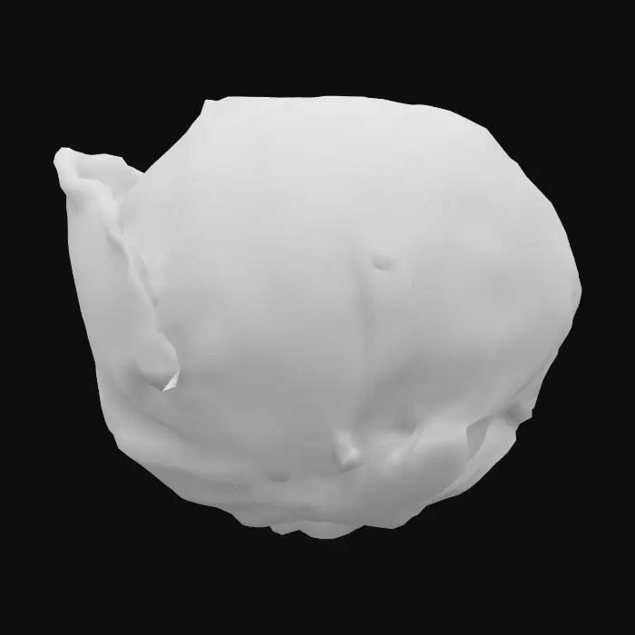 3D model for Cabbage Delight