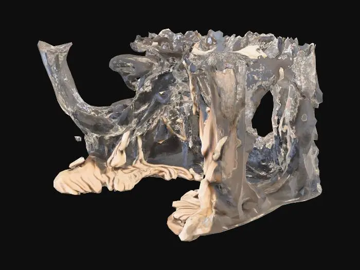 3D model for Enchanted Arborarium