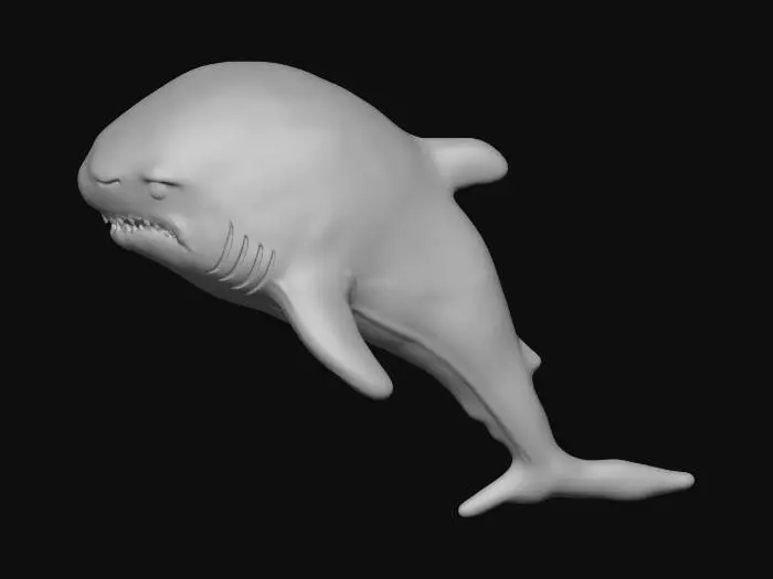 3D model for Shark