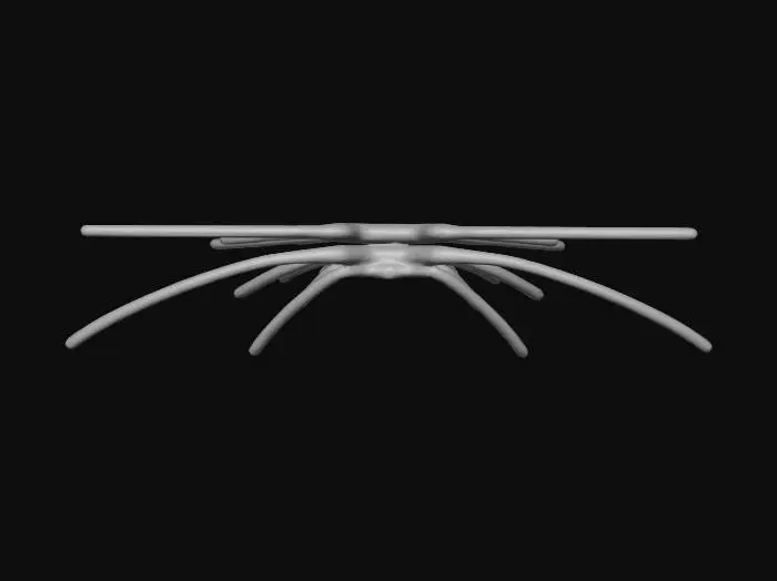 3D model for Shadow Ship