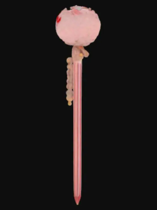 3D model for Hello Kitty Fluffy Pen