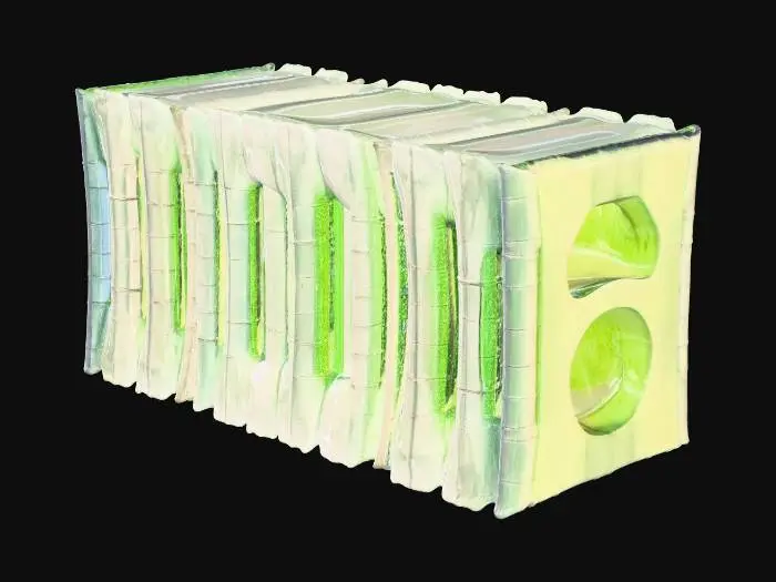 3D model for bamboo forest