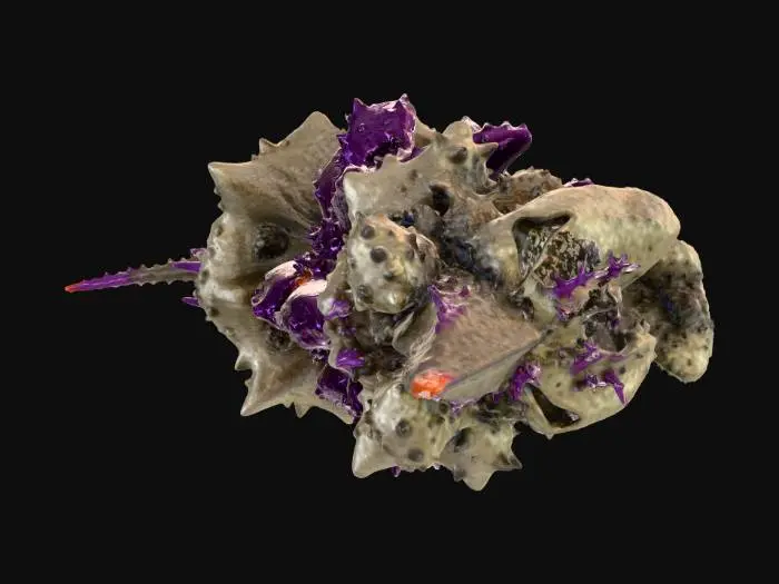 3D model for Ultra Kaiju Missile Ship