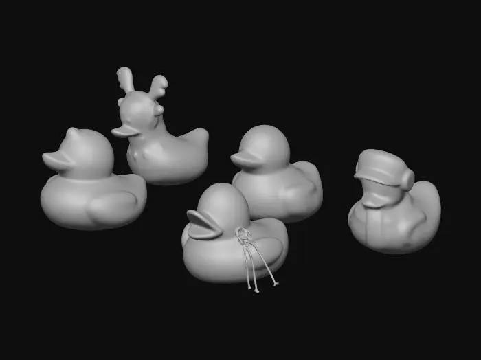 3D model for Quack Quintet
