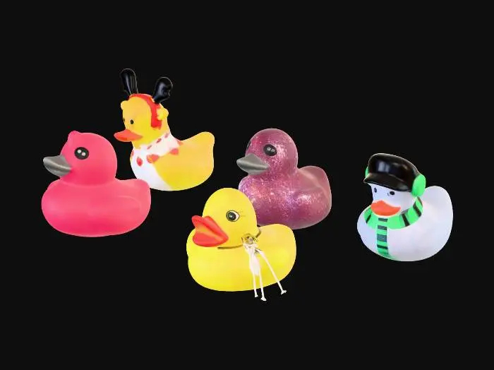 3D model for Quack Quintet