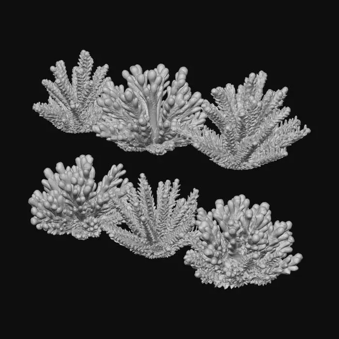 3D model for Pastel Coral Bloom