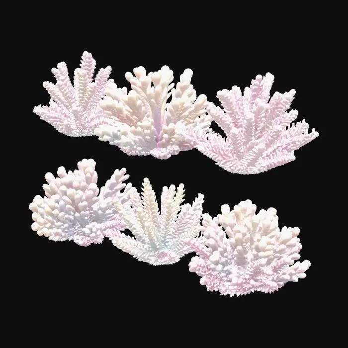 3D model for Pastel Coral Bloom