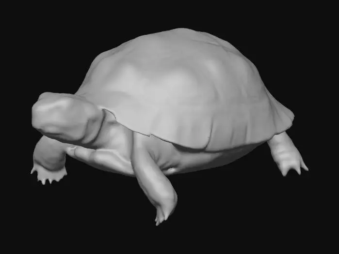 3D model for Tortoise Trek