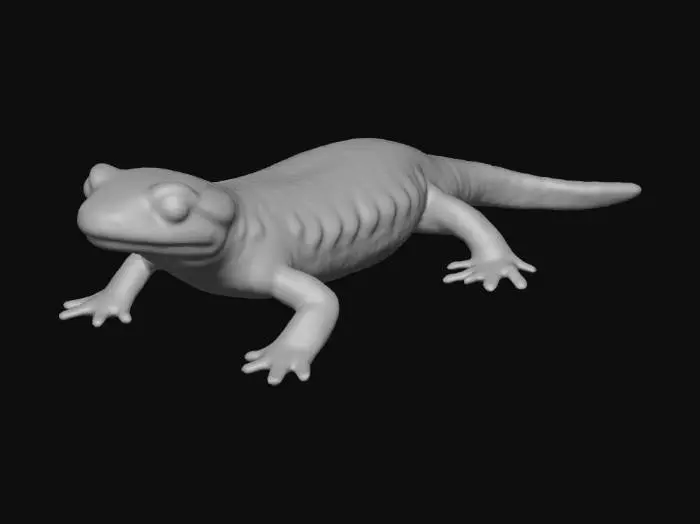 3D model for Salamander