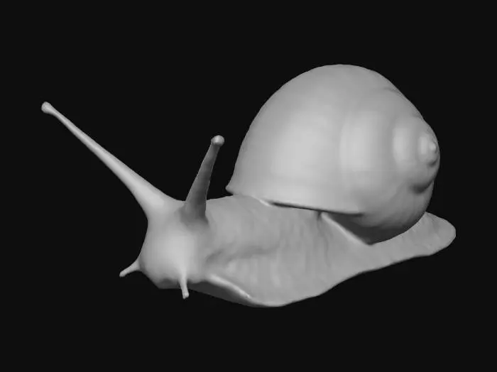 3D model for Snail