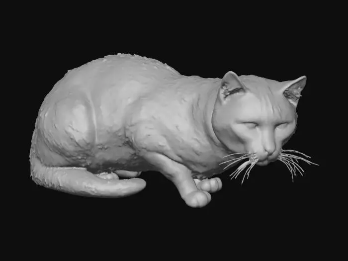 3D model for Tabby Whisperer