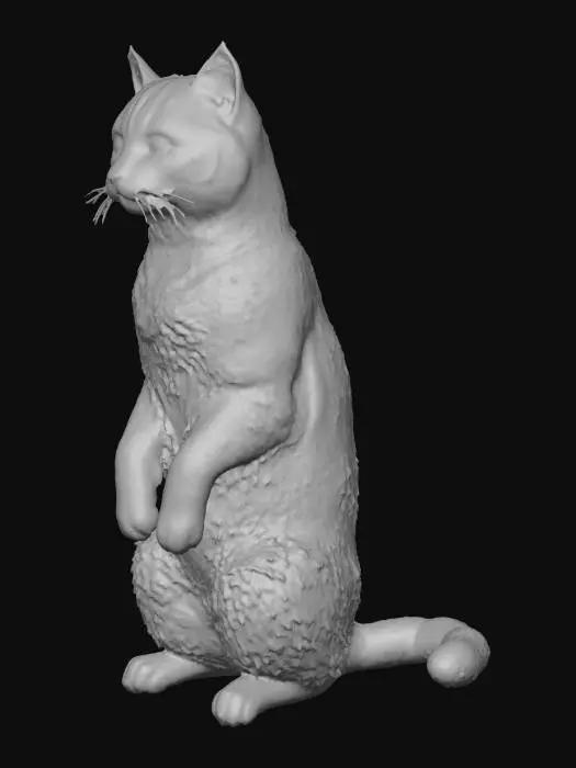 3D model for Curious Stance