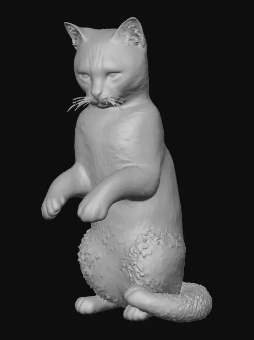 3D model for Curious Cat