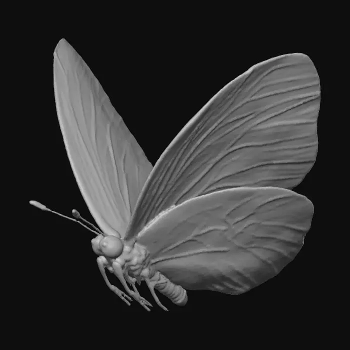 3D model for Fluttering Colors