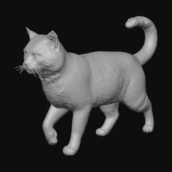 3D model for Wildcat