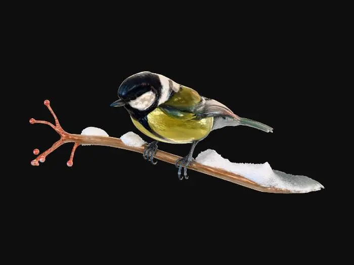 3D model for Winter Perch