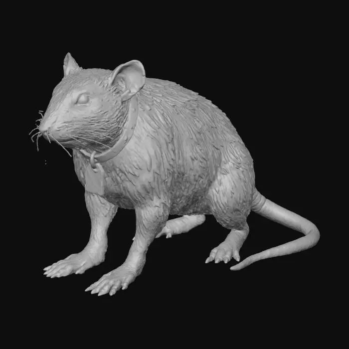 3D model for Field_Rat