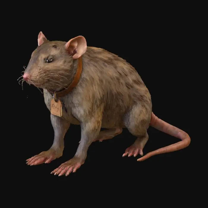 3D model for Field_Rat