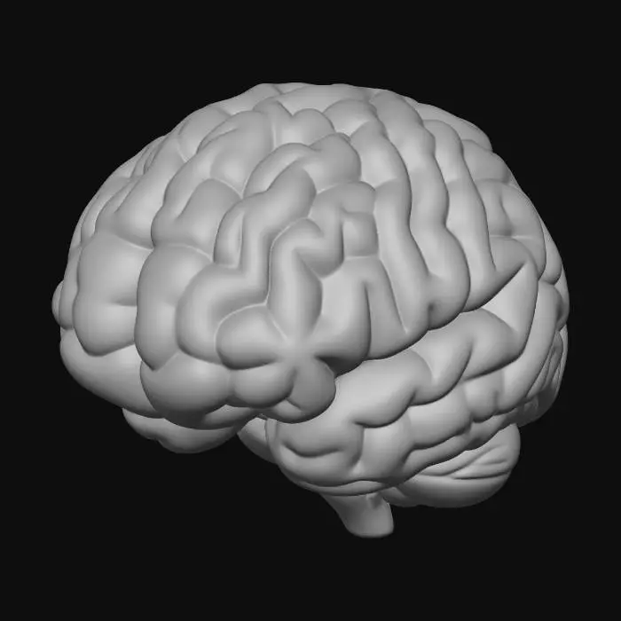 3D model for “Cartoon sticker-style 3D illustration of a human brain exaggeratedly inflated like a puffy down jacket. Soft rounded shapes, stylized folds resembling puffy fabric, playful and bold proportions. Vibrant and harmonious colors, smooth textures, subtle highlights to suggest volume and puffiness. Clean, minimal design with simplified details for sticker readability. Centered composition, isolated on white or transparent background. Fun, quirky, eye-catching, high-quality 3D render suitable for digital stickers or emojis. Artistic, exaggerated, stylized, playful vibe.”
