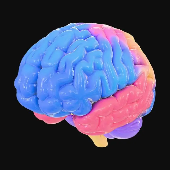 3D model for “Cartoon sticker-style 3D illustration of a human brain exaggeratedly inflated like a puffy down jacket. Soft rounded shapes, stylized folds resembling puffy fabric, playful and bold proportions. Vibrant and harmonious colors, smooth textures, subtle highlights to suggest volume and puffiness. Clean, minimal design with simplified details for sticker readability. Centered composition, isolated on white or transparent background. Fun, quirky, eye-catching, high-quality 3D render suitable for digital stickers or emojis. Artistic, exaggerated, stylized, playful vibe.”