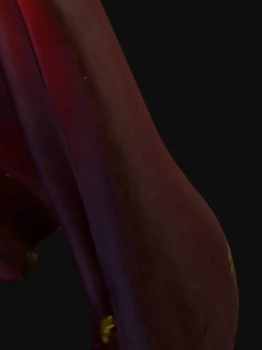 3D model for Chicken Champion