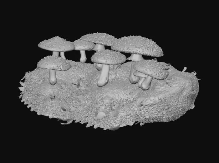 3D model for A mushroom forest  that is dense with big mushrooms and the mushrooms have a light glow