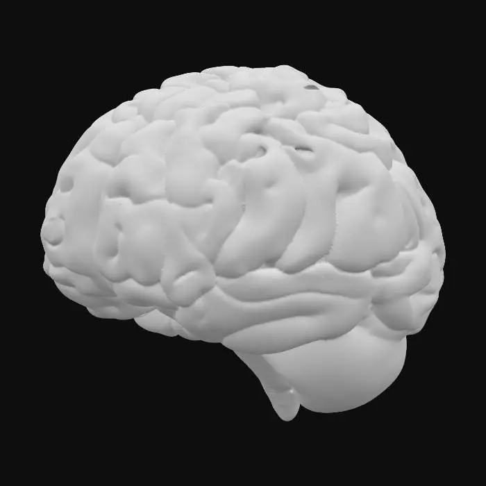 3D model for I want a multi-coloured model of a human brain with 6 parts. higlighted