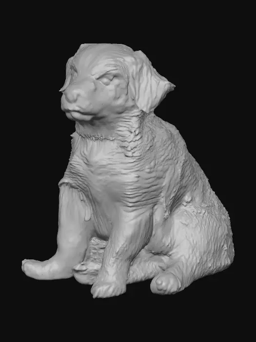 3D model for Puppy in the Sunlight