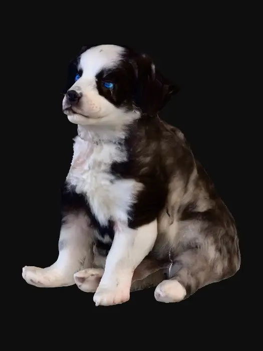 3D model for Puppy in the Sunlight