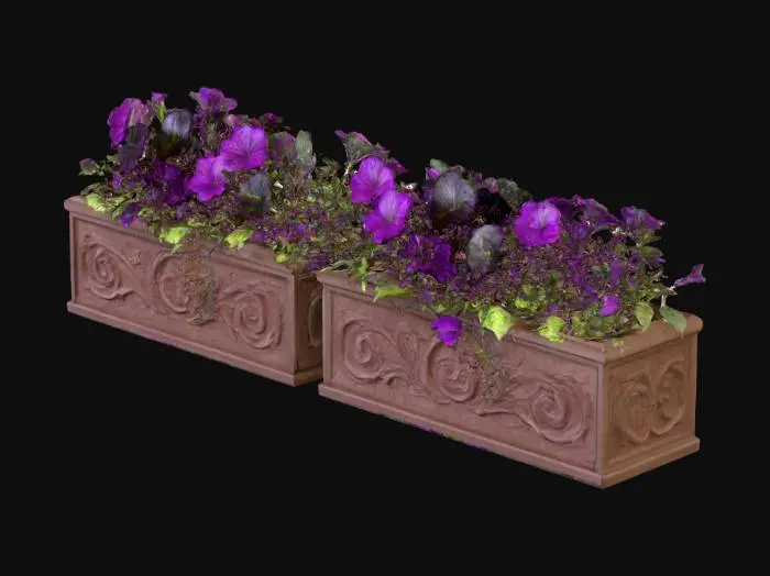 3D model for decorative window boxes with black and dark purple flowers.
