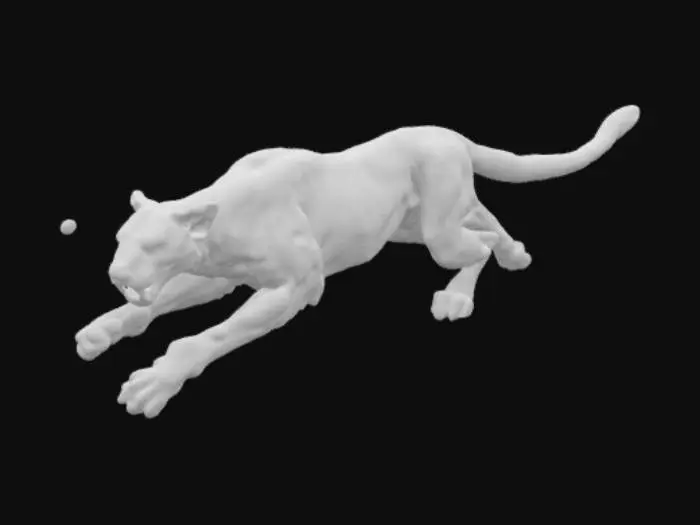 3D model for Smoke leopard bullet