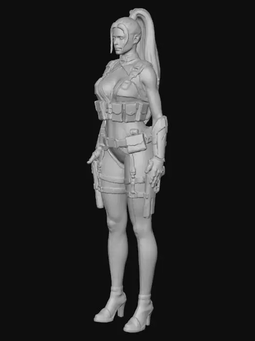 3D model for Warrior Vigilance