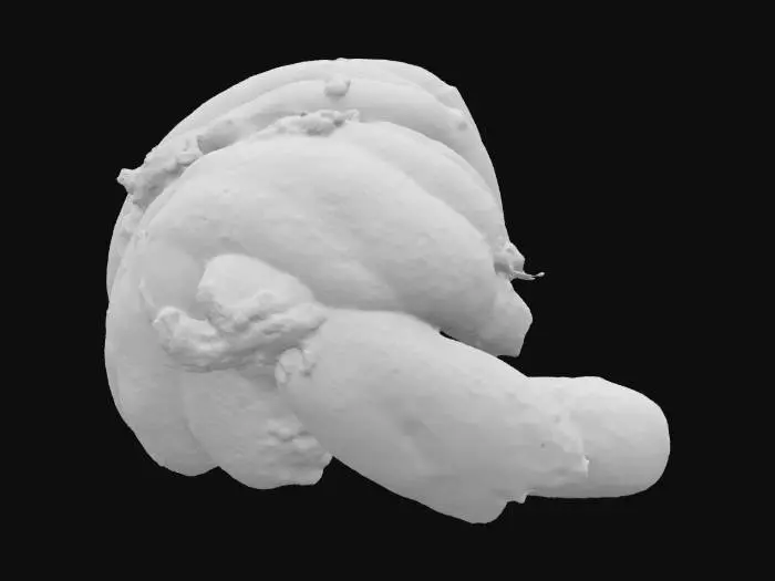 3D model for Spectrum Spice