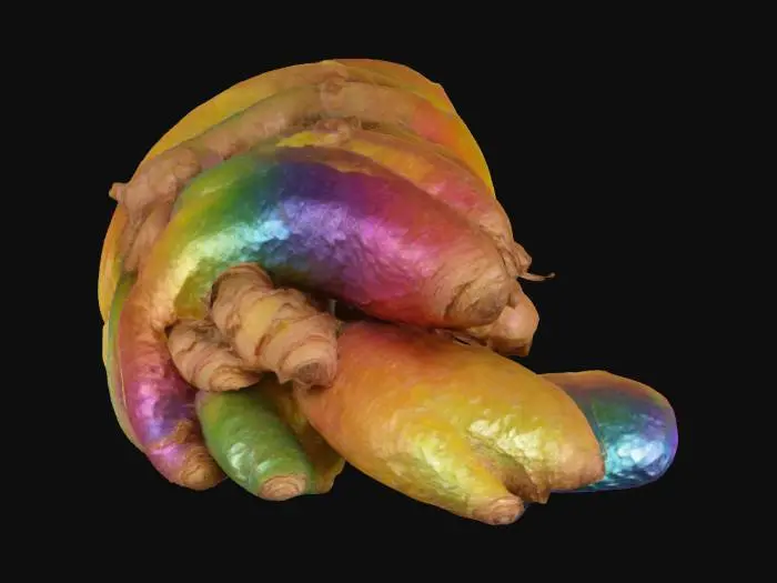 3D model for Spectrum Spice