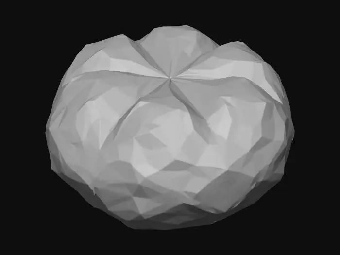 3D model for Polygonal Citrus