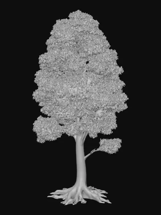 3D model for tree