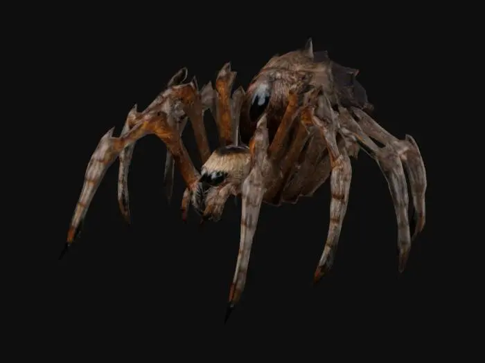 3D model for Arachnid Phantasm